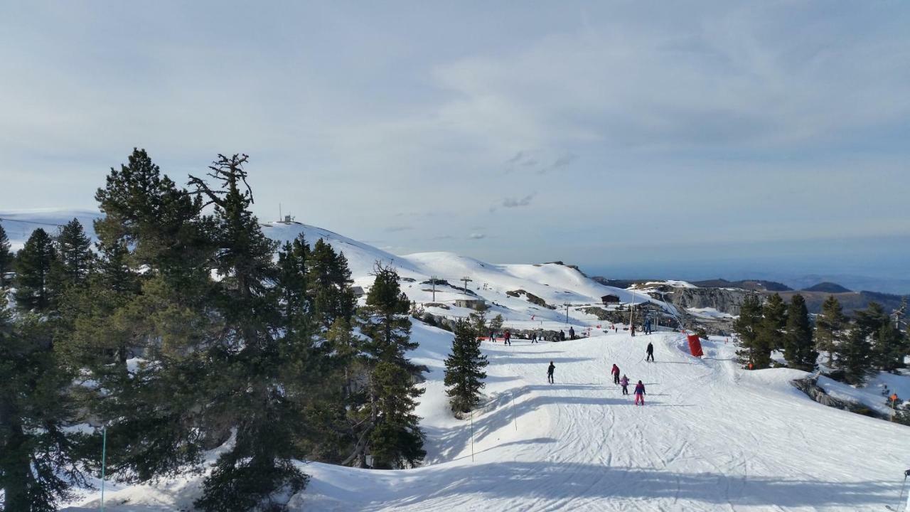 Le Gite Des Mousquetaires Lanne-en-Baretous Екстер'єр фото